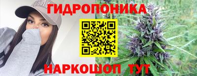 ALPHA PVP Братск