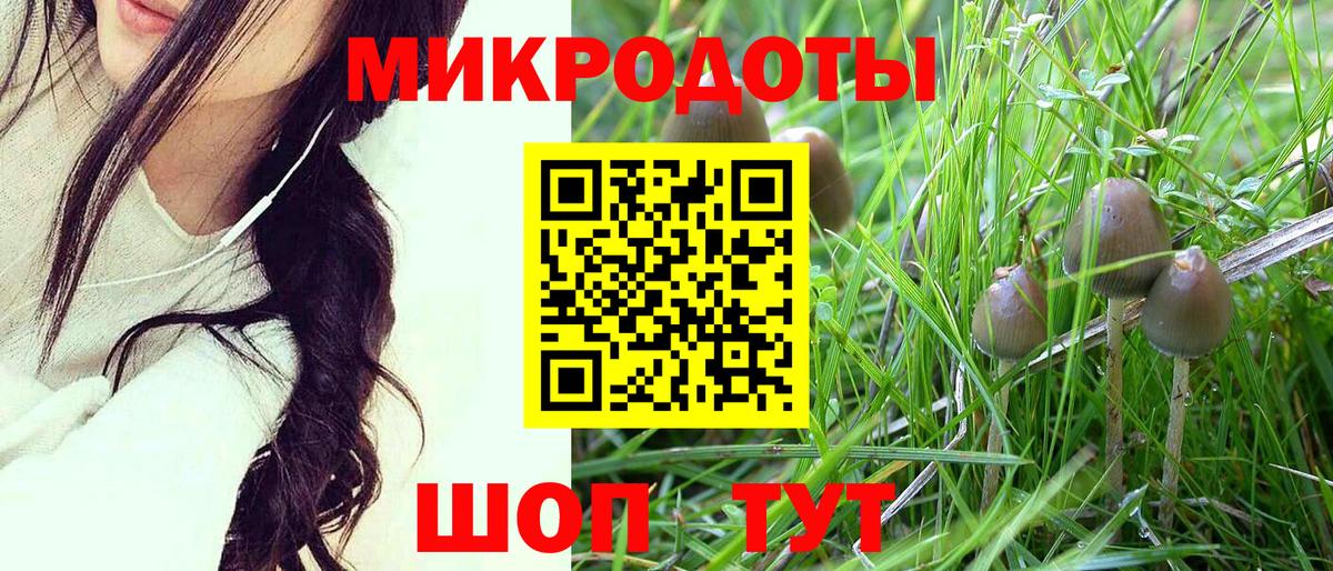 Галлюциногенные грибы Magic Shrooms Десногорск