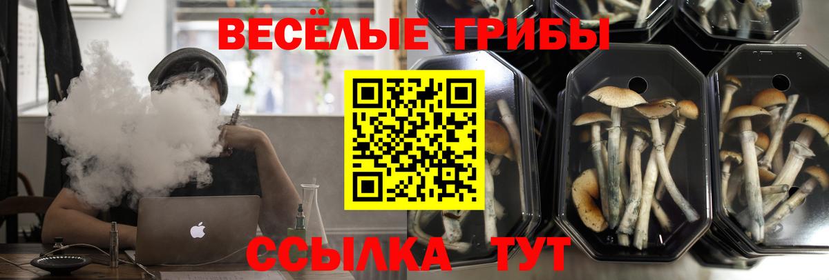 Галлюциногенные грибы MAGIC MUSHROOMS  Вход с VPN  Десногорск 